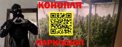 apvp Балахна