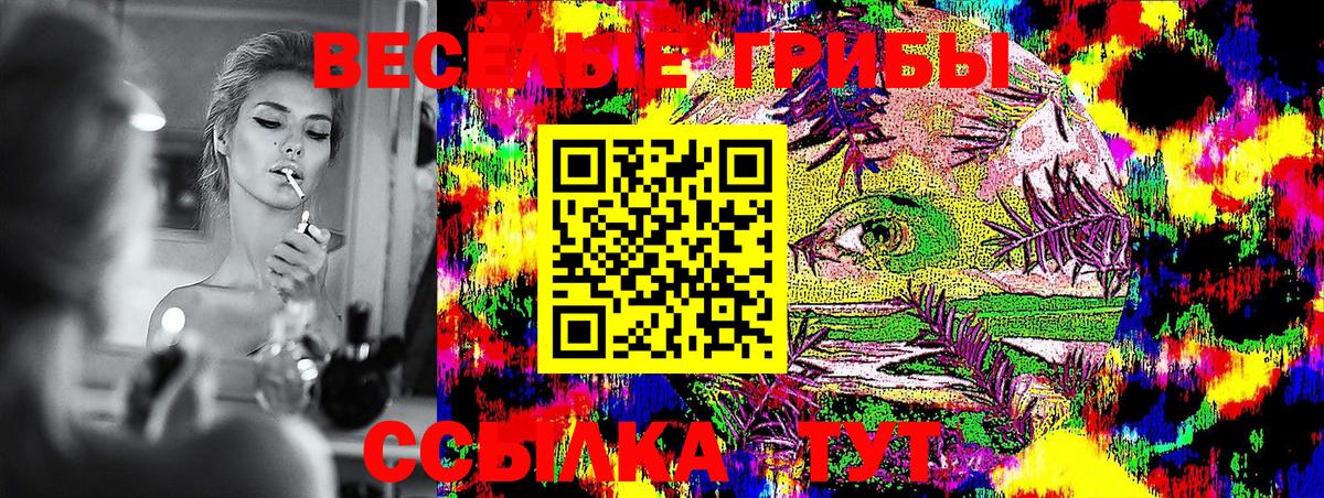 Галлюциногенные грибы прущие грибы Дзержинский