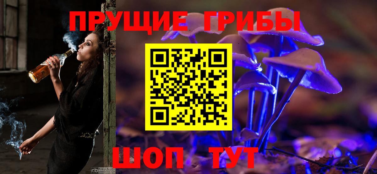 Галлюциногенные грибы Magic Shrooms  Вход с VPN  Дзержинский  Псилоцибиновые грибы GOLDEN TEACHER 